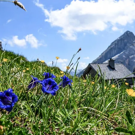 Haus Sonnenschein Hochkalter Διαμέρισμα